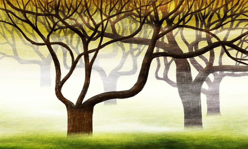 ジクレー版画「春は木に悪いってことはないさ」